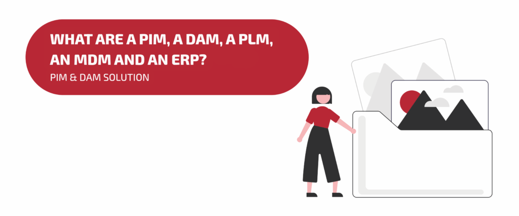 Image illustrating the article What are a PIM, a DAM, a PLM, a MDM and a ERP ? What are the differences ?
