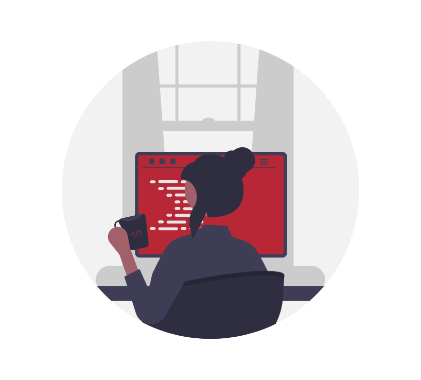 undraw_Programmer_re_owql PIM and DTP (InDesign, Quark, EasyCatalog…) software